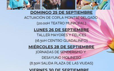 Semana del Mayor de Montalbán