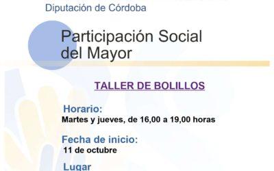Taller de Bolillos. Posadas